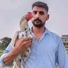 Zaid Baig