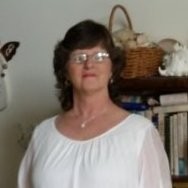 Cindi Burgan