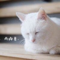 卢振宇