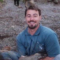 Alex Nandi Boaventura