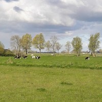 Doete Jullens