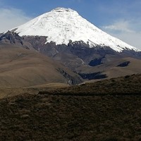 Diego Burgasi