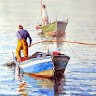 Hiếu Hồng