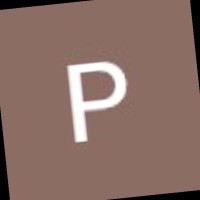 Plb Biki
