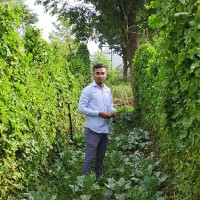 Sanjay Kumar Nayak