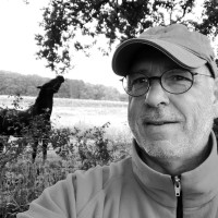 Wilfried Lohmann