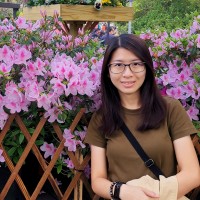 Ka Jing Kok