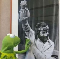 Kermit The Dog