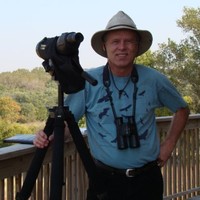Lee Schoenewe