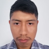 Diego Alonso Callata Arizanca