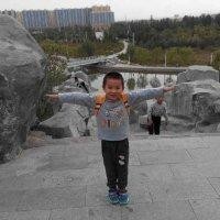 曹国宝