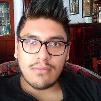 Michel Fernando Silva Flores