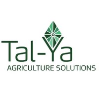 Tal- Ya