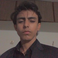 Syed Anas Hussain