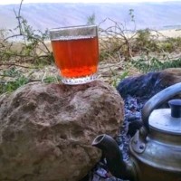 عبدالله فوزى