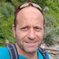 Haim Alon