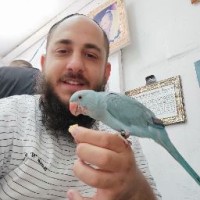maor zarug