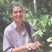 Sandy Knapp