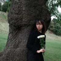 Xinyi Qu