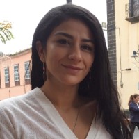 Mosaica Abuzeid