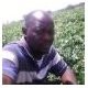 Munyaradzi Mawire