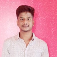 Siddhartha N