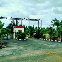Prasad G