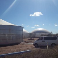 Maximiliano Carlos Garibotti