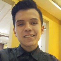 Brandon Martinez Flores