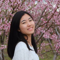 Yuting Hu