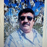 ali akdogan