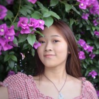 Qingying Li