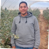 Mahmoud Ehab