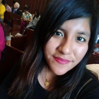 Priscilla De Los Milagros Paredes Osorio