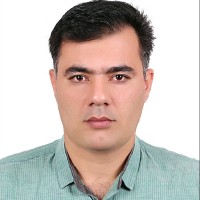 Mahmoud Rasouli