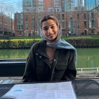 Zehra Amir
