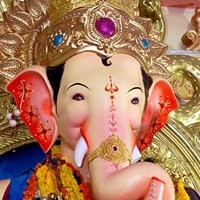 Damini Dolas
