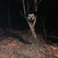 董如新