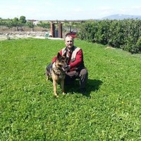 rahmi ay