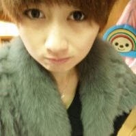 lu shu wen