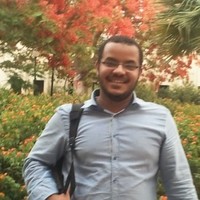 Amr Abdallah Ali
