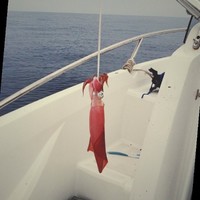 Carles Sanchez (Electro Pla VIC)