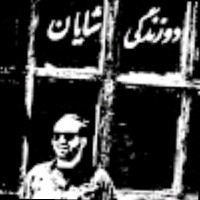 Shayan Panahi