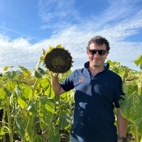 Fernando de Abelleyra