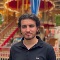 Furtos Rares Mihai