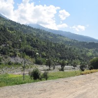 Asif Assi