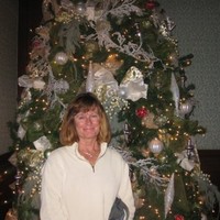 Julie Norcross