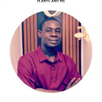 Odikeme Ebiarede