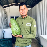 Cesar Omar Majano Jr.