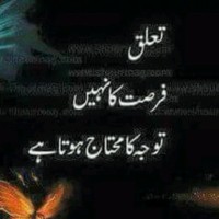 Zoraiz Syed